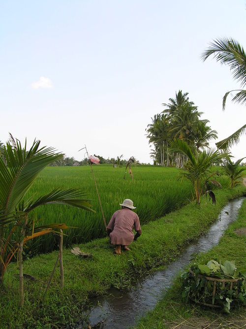 2005_indonesiatrip_332_2